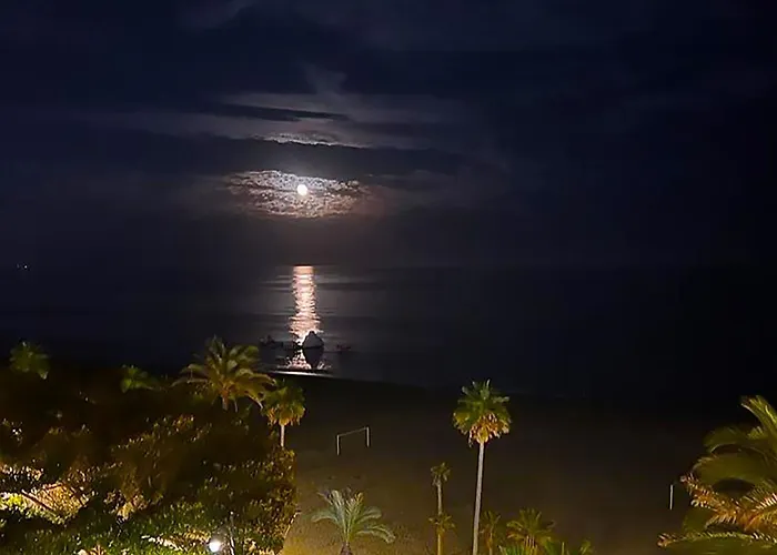 Town Panorama Estepona